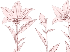 戀慕하는 당신께, 愛情을 담아.