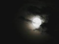 나는, 안녕합니다