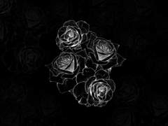 Carl S Perso. XX, 26.