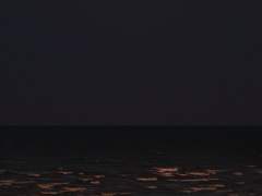 신 인류 뉴스 기사