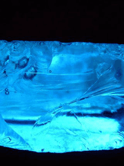 바람결에 불어온 파란