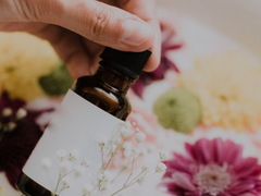 Flo*scent💐 (20223년 8월 4일 리뉴얼!)