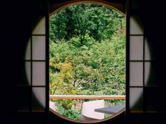 [백기유연] 북쪽의 바람