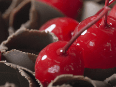 [후기] 기쁘고, 반갑고, 다행이야