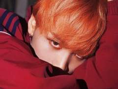 센티넬 버스와 아포칼립스를 혼합한다면? ++