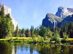 #드림주 설정 : 솔리스