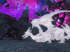 사랑하는 반려에게 바치는 용시