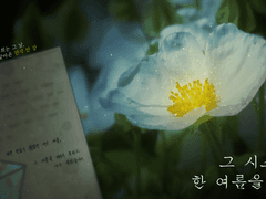 그 시스투스는 한여름을 말했다.