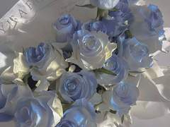 03. 서로에게 한없이 끌려 끝이 닳은 채로 어렴풋이 웃었던 우리처럼.