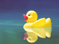 순수톡Ⅳ 35. 🐥🐣🐥🐣