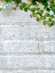 나는 저 새끼가 이럴 줄 알았다.