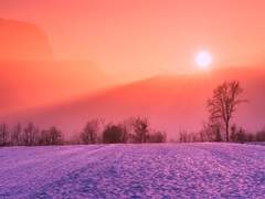 일상, 포카, 달달물, 오마카세, 단문 샘플