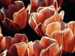 過去를 돌아볼 자격조차 없는 내가 감히,