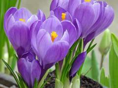 환희를 품고 지나간 행복은