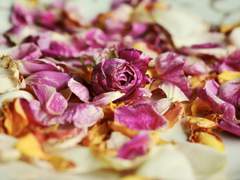 우리가 이름을 부를 사이는 아니지.