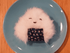 커미션/연교 타입 정리