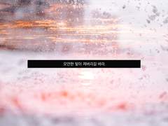 오만한 빛이 져버리길 바라.