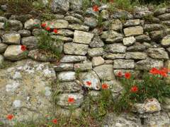 (닌자고)소중한 사람의 행복을 찾아주려는데 왜 이리 어려운지 모르겠네