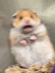 수인이라면 어떨 것 같아?