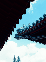 The Paradox of Choice 본편