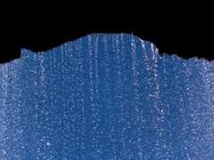 [RER] 태양은 가득히