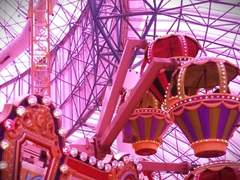 Cat’s room - maniac (I)