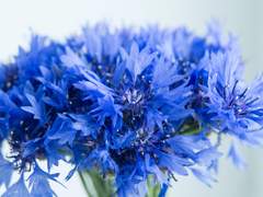 설유진 | 3724 | XX