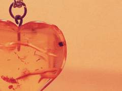 𑁤 당신의 하트를 픽업~