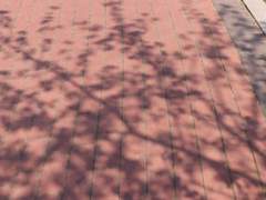 드림/정인철X이하늘