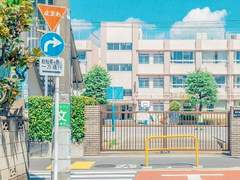 하시모토 히마리