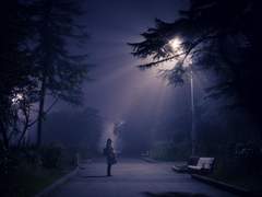 게토진 관계성 분석