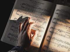 피아노와 비슷한 그 어린 남작