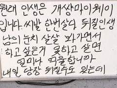 Fucking Social Network 후기