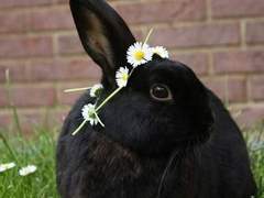 내가 산으로 간 이유/이도은