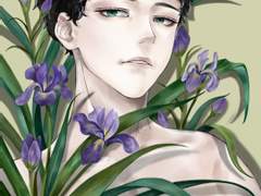 아이리스 아카아시