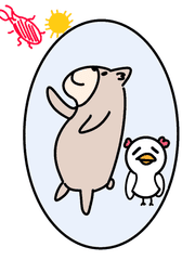 제니미니 - 우리몸의 방어작용