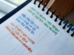 상시 캘리 커미션(X)