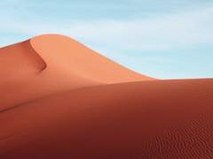 [린가이아]Sprinter