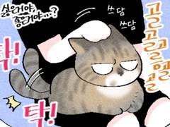 찬밍) 주말은 영화보기