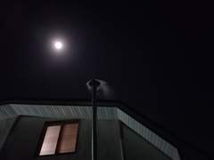 오곡밥이 그리워집니다