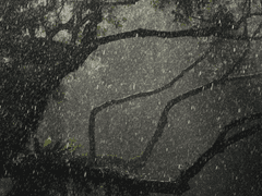 우리 세 명이서 사귀어버릴까? 1화