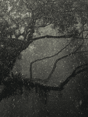 우리 세 명이서 사귀어버릴까?