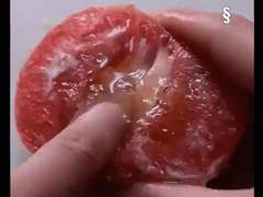 가제. 먹지 마세요. 연습에 양보하세요. 핑거푸드.