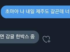 민초마 만난 후기