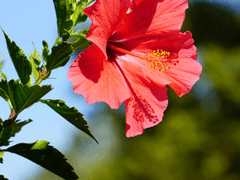 덕 경장의 휴식 시간