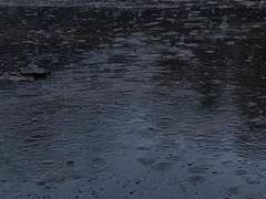 Alte Liebe rostet nicht.