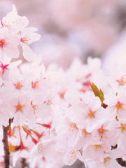 좀비고 연성 썰~