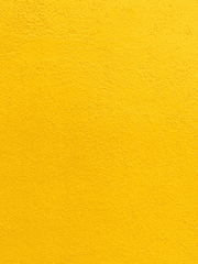 우리 담임쌤이랑 체육쌤 사귀는 썰 푼다 .txt