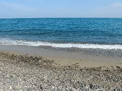 그물, 플라스틱 대부분