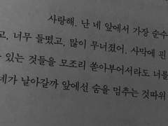 좋아한다는 말로도 부족해